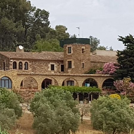 Mas Tomas Guest House Vall-Llobrega Exterior photo